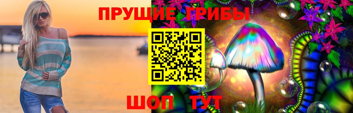 Галлюциногенные грибы Cubensis Зима